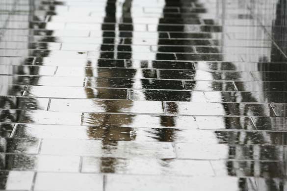 Rain reflected in puddles