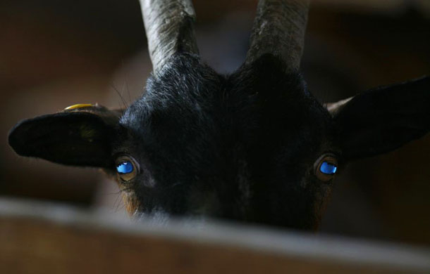 24 hours in pictures 28/5/8