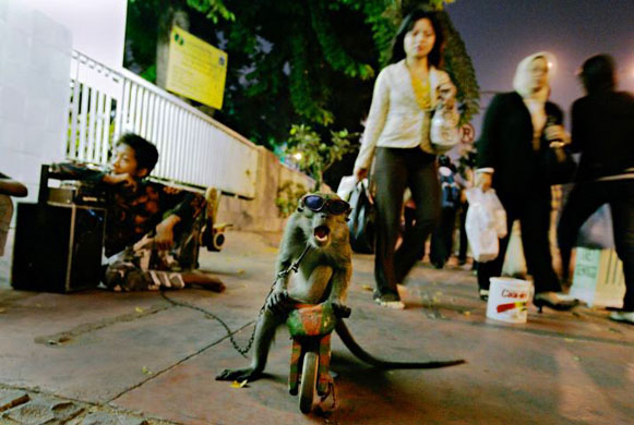 24 hours in pictures 30/5/8