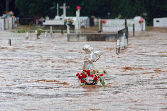 24 hours in pictures 30/5/8