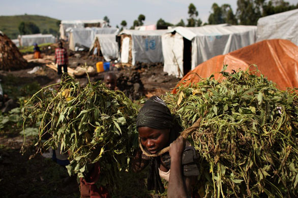 congo refugees