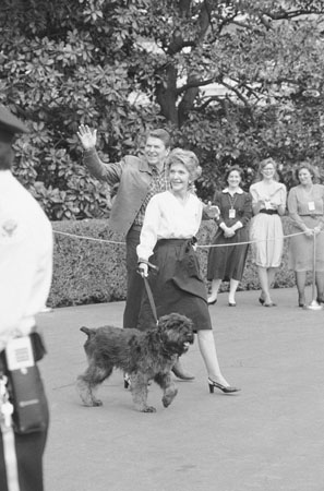 1985: President Ronald Reagan and Nancy Reagan walk toward the White House with their dog Lucky
