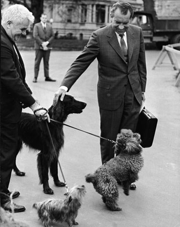 1970: President Richard Nixon pets his dogs (L-R) Irish Setter King Timahoe, Yorkshire Terrier Pasha and French Poodle Vicky, outside the White House