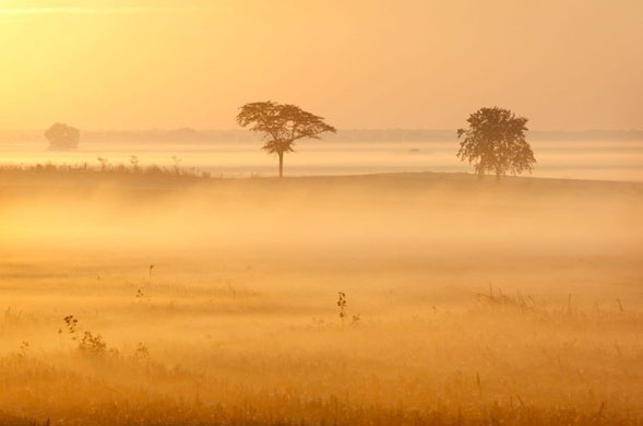 Cottonwood, US: The sun rises over a newly harvested corn field