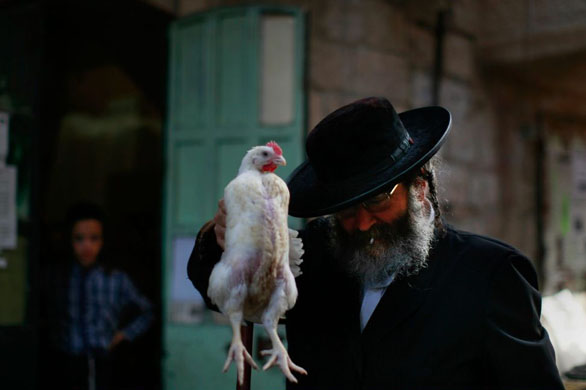 Jerusalem, Israel: An Ultra-Orthodox Jewish man performs the kaparot ceremony