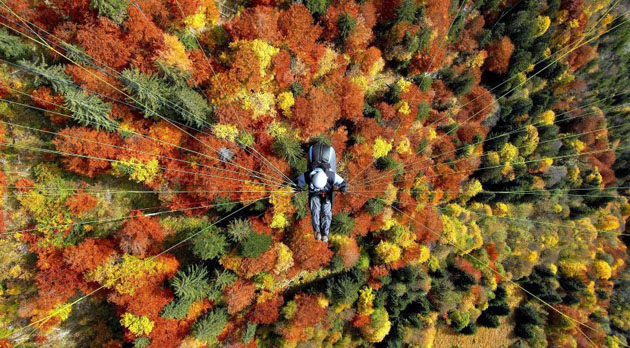 Bregenzer forest, Austraia: A paraglider flies over the forest