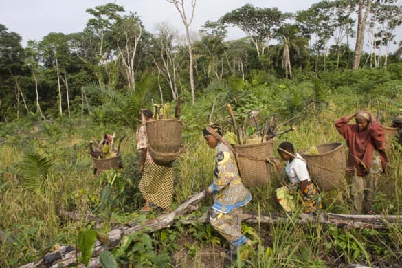 UN World Food Day: Democratic Republic of Congo