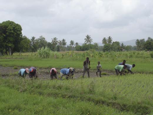 UN World Food Day: Les Cayes, Haiti