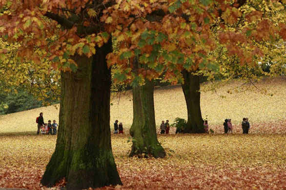 Hamburg, Germany: A kindergarden group walks through a park