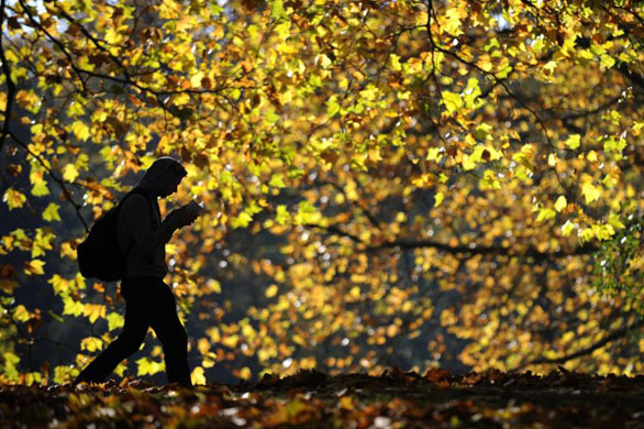 Berlin, Germany: A man walks through the Tiergarten park