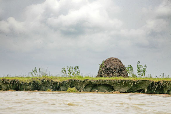 climate change in Bangladesh
