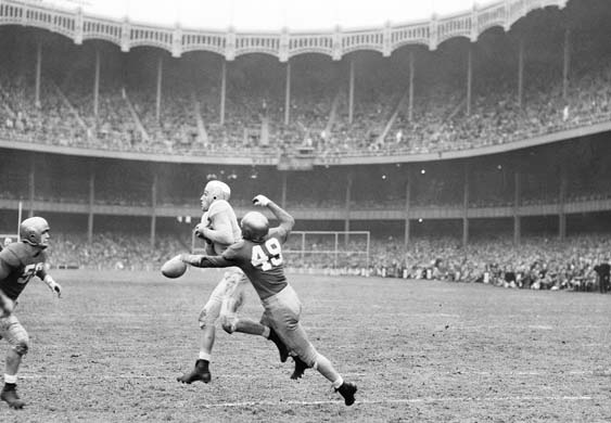 New York Yankee Stadium