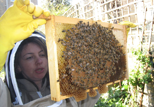 Alison Benjamin inspects a frame