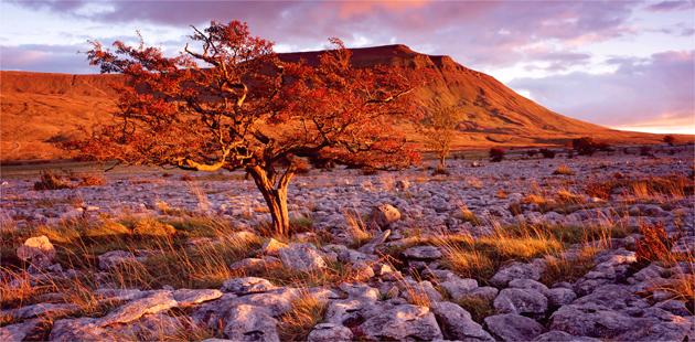Image from Where in the World but Britain exhibition
