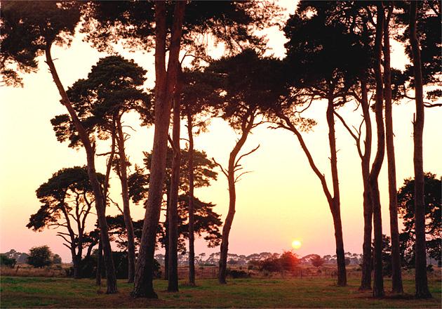 Image from Where in the World but Britain exhibition