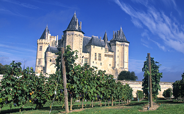 A chateau in the Loire valley