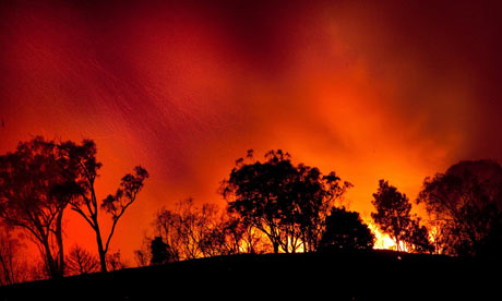 a bushfire