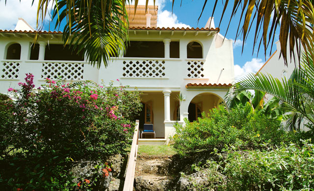 Snooping around - Barbados