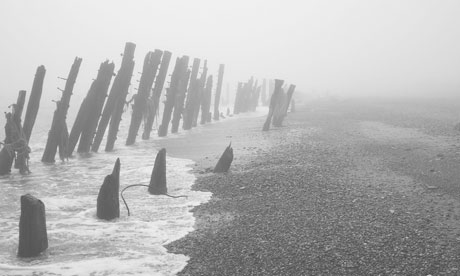seashore by will self