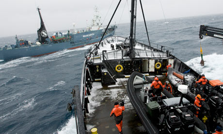  seas toward the Brigitte Bardot to escort the stricken boat for repairs