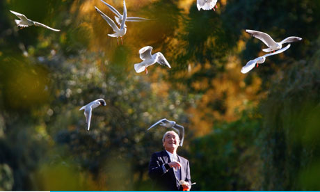 Report Finds Urban Dwellers Suffer Green Space Poverty