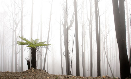 resume format for freshers. sample resume format for