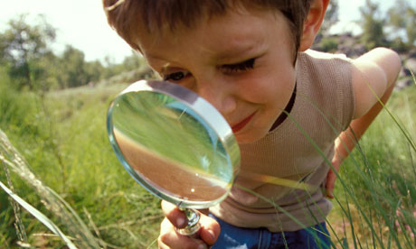 magnifying glass