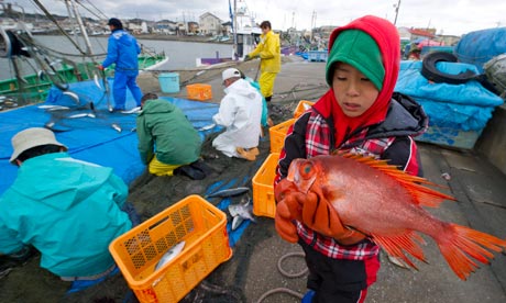 A boy carries a fish at Ohara port, Japan