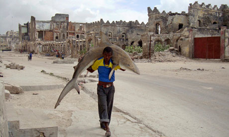 2011 World Press Photo Omar Feisal shark