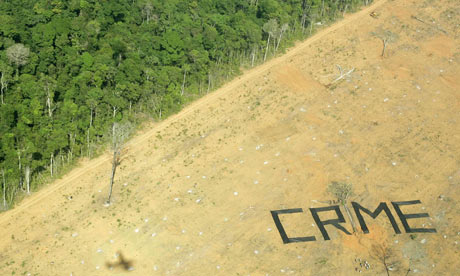 Protest against deforestation near a Brazil nut tree in the Amazon rainforest