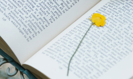 A book being marked by a flower and a stone