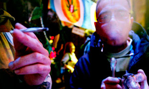 Dutch government decrees that all cannabis cafes are off-limits to tourists