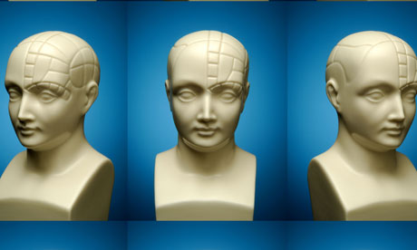 phrenology head