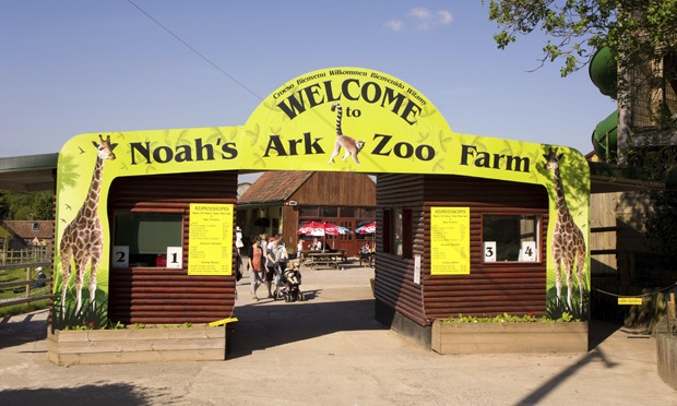 Why I won�t be going back to Noah�s Ark creationist zoo
