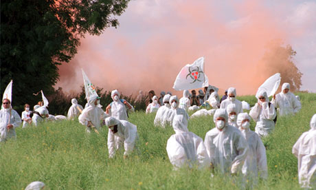 Protesters destroy GM crops.