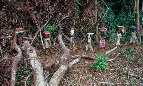 Children carrying crops in Nigeria