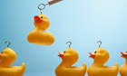 Rubber ducks