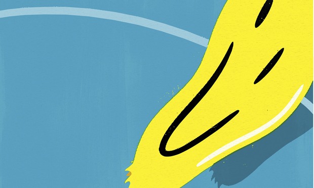 contribution amateur blog