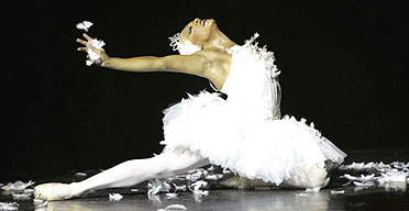 Ballet Dying Swan