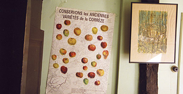 A scene from Tacita Dean's film Michael Hamburger