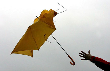 Umbrella in a gale