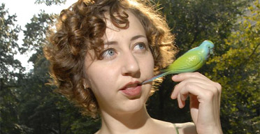Kristen Schaal, Edinburgh festival