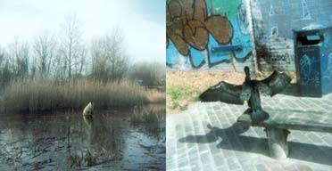 Photograph by Stephen Gill