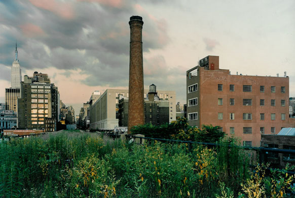 The High Line overhead railway in New York in 2000. Photograph: copyright Joel Sternfield 2000