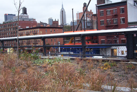 The High Line overhead railway in New York, on November 6 2008. Photograph: Zoe Marks