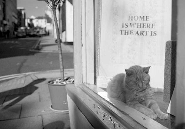 Your photos: Andoni Gallarretarr