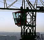 Still from Eve Weber's The Solitary Life of Cranes