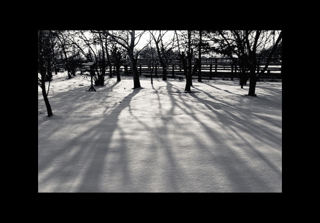 Your photos: Shadows by Paul Douglas