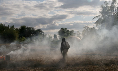 Primitive, a video installation by Apichatpong Weerasethakul