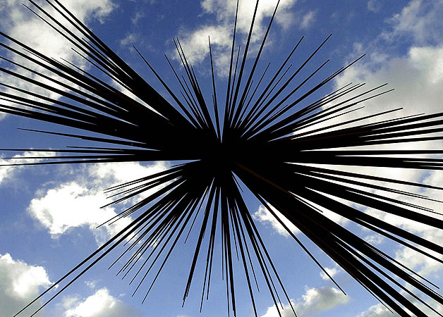 B of the Bang: Looking up